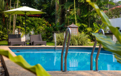 Blogs 4 Pool & Landscape Design in Dubai: Creating a Cohesive Outdoor Sanctuary