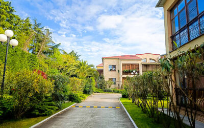 Blogs 4 Dubai Residential Landscaping: Expert Villa & Garden Design