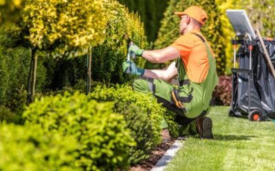 Blogs 1 The Ultimate Guide to Keeping Your Dubai Villa Garden Green All Year