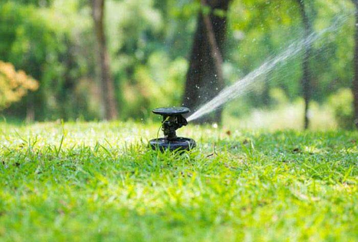 Garden maintenance by spraying water using lawn sprinkler
