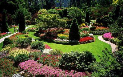 Types of Landscaping Styles
