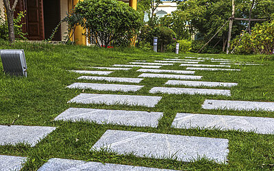Questions to Ask Your Landscape Design Company