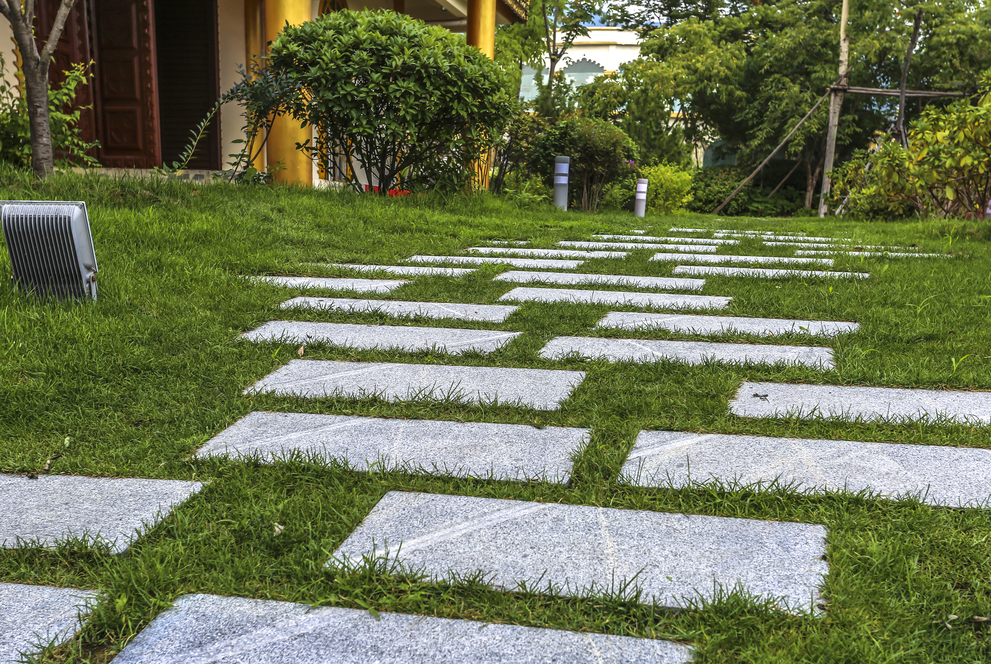Questions to Ask Your Landscape Design Company