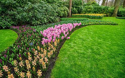 Top Trends in Garden Landscaping for 2023