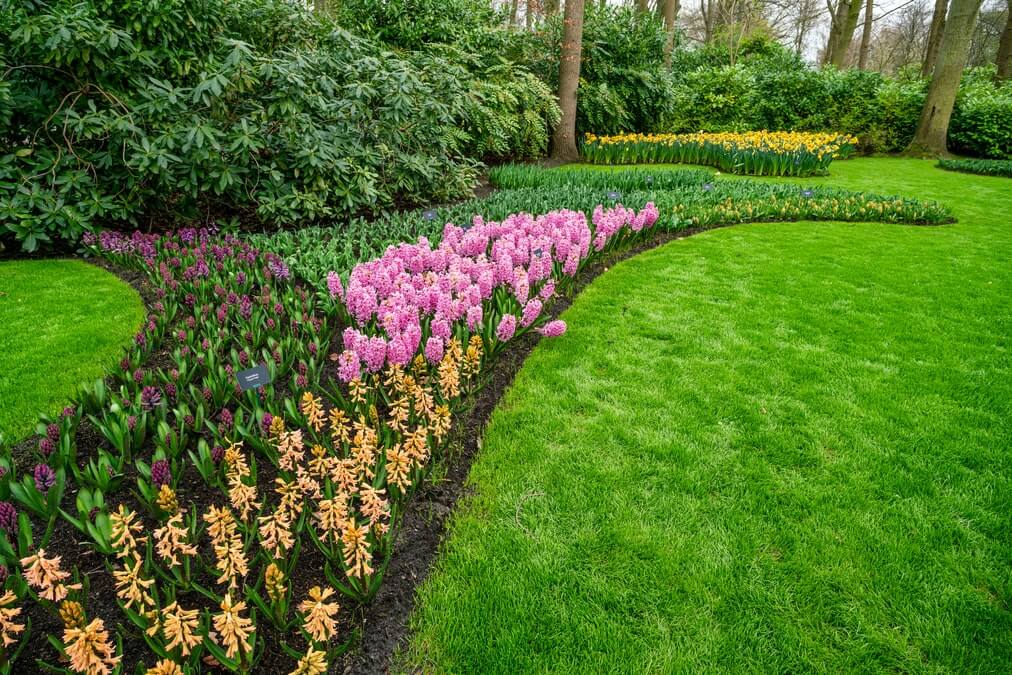 garden landscaping companies in Dubai