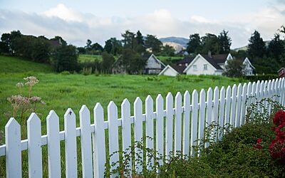 What are the Best Ways to Landscape for Privacy?