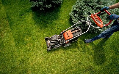 How to Choose the Right Landscaping Company in Dubai