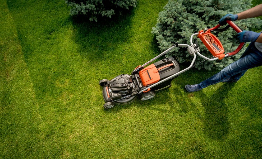 How to Choose the Right Landscaping Company in Dubai
