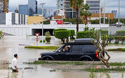 Restoring Your Landscape After a Flood: Essential Steps and Tips